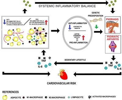 Adipokines, Cardiovascular Risk, and Therapeutic Management in Obesity and Psoriatic Arthritis